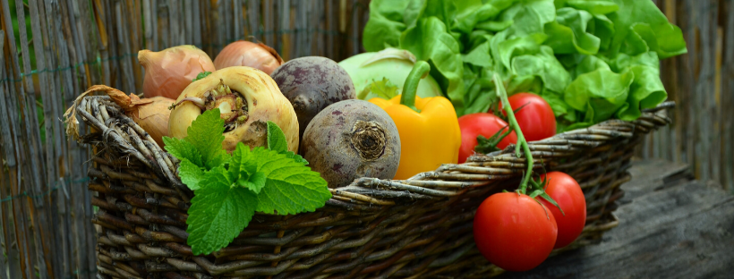 The Satiety Hormone, Leptin