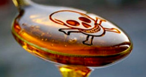 High Fructose Corn Syrup Part 2