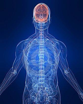 Controlling Your Nervous System